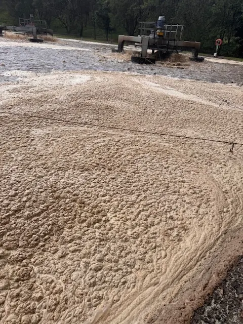 Wastewater Foam Management: Why Operators Struggle and How to Identify and Correct the Root Cause