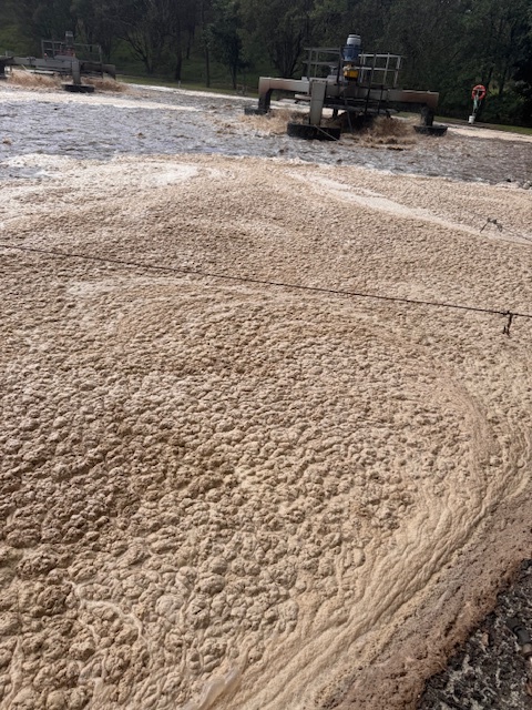 Wastewater Foam Management: Why Operators Struggle and How to Identify and Correct the Root Cause